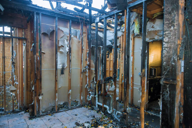 Professional Fire Damage Repair technician working in Silver Summit, UT
